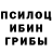 Галлюциногенные грибы прущие грибы Lincoln Joiner