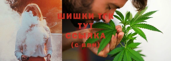 спиды Вязьма